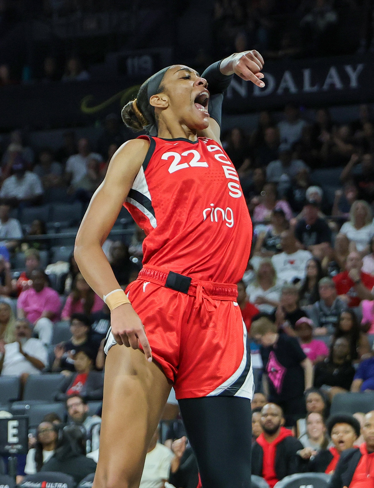 炸裂!阿贾-威尔逊赛季22次砍至少20分15板 超查尔斯独占历史第一